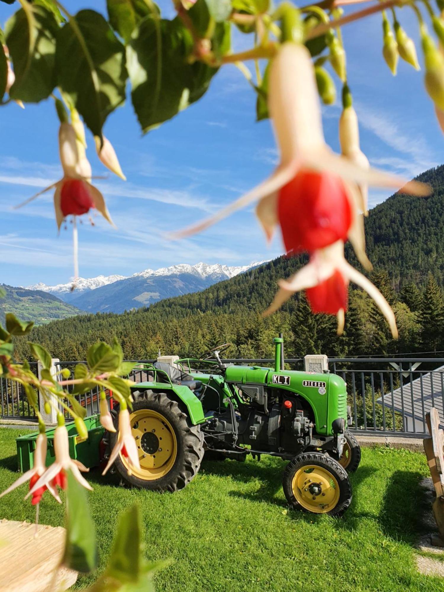 Haus Rupitsch Hotel Winklern  Екстериор снимка